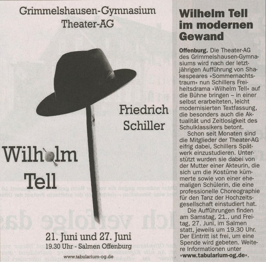 Offenburger Tageblatt - Vorbericht vom 20. Juni 2008